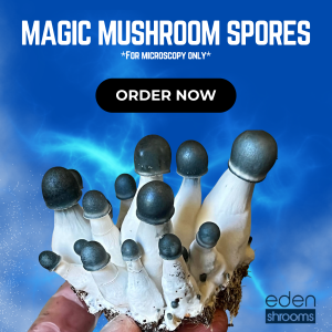 Magic Mushroom Spores Advertisement